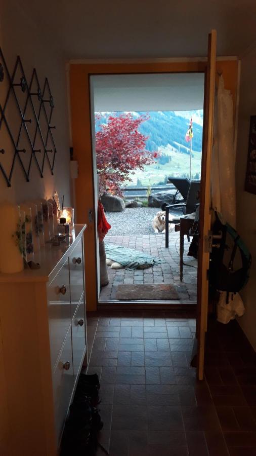 Chalet Gotthelf Gartenstudio, Ferien Mit Hund Αντελμπόντεν Εξωτερικό φωτογραφία