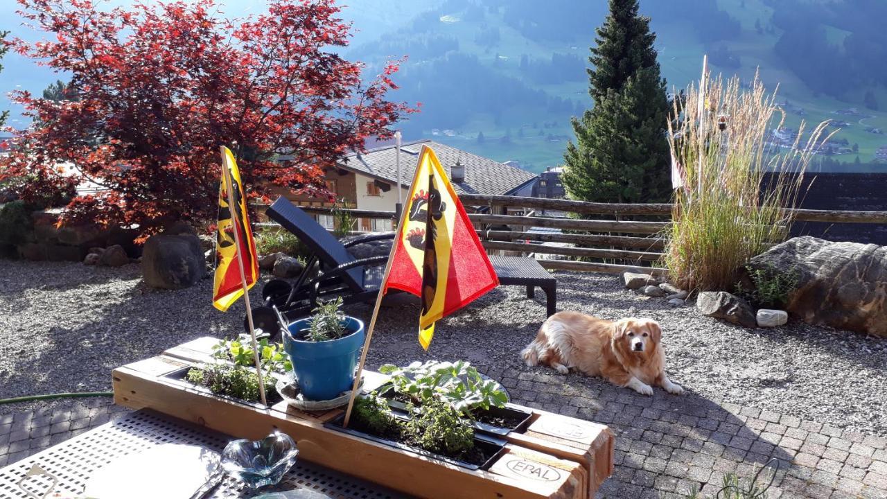 Chalet Gotthelf Gartenstudio, Ferien Mit Hund Αντελμπόντεν Εξωτερικό φωτογραφία