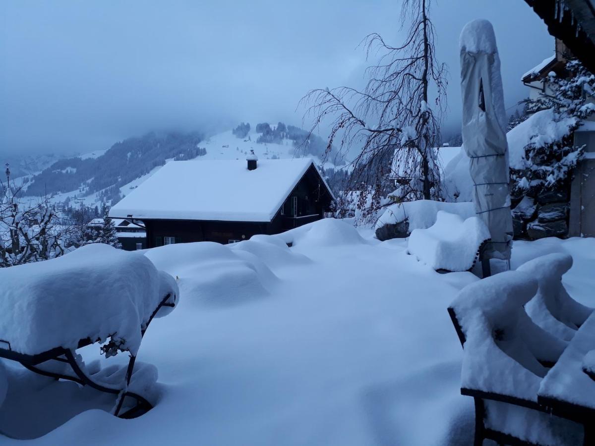 Chalet Gotthelf Gartenstudio, Ferien Mit Hund Αντελμπόντεν Εξωτερικό φωτογραφία