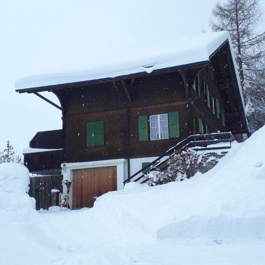 Chalet Gotthelf Gartenstudio, Ferien Mit Hund Αντελμπόντεν Εξωτερικό φωτογραφία