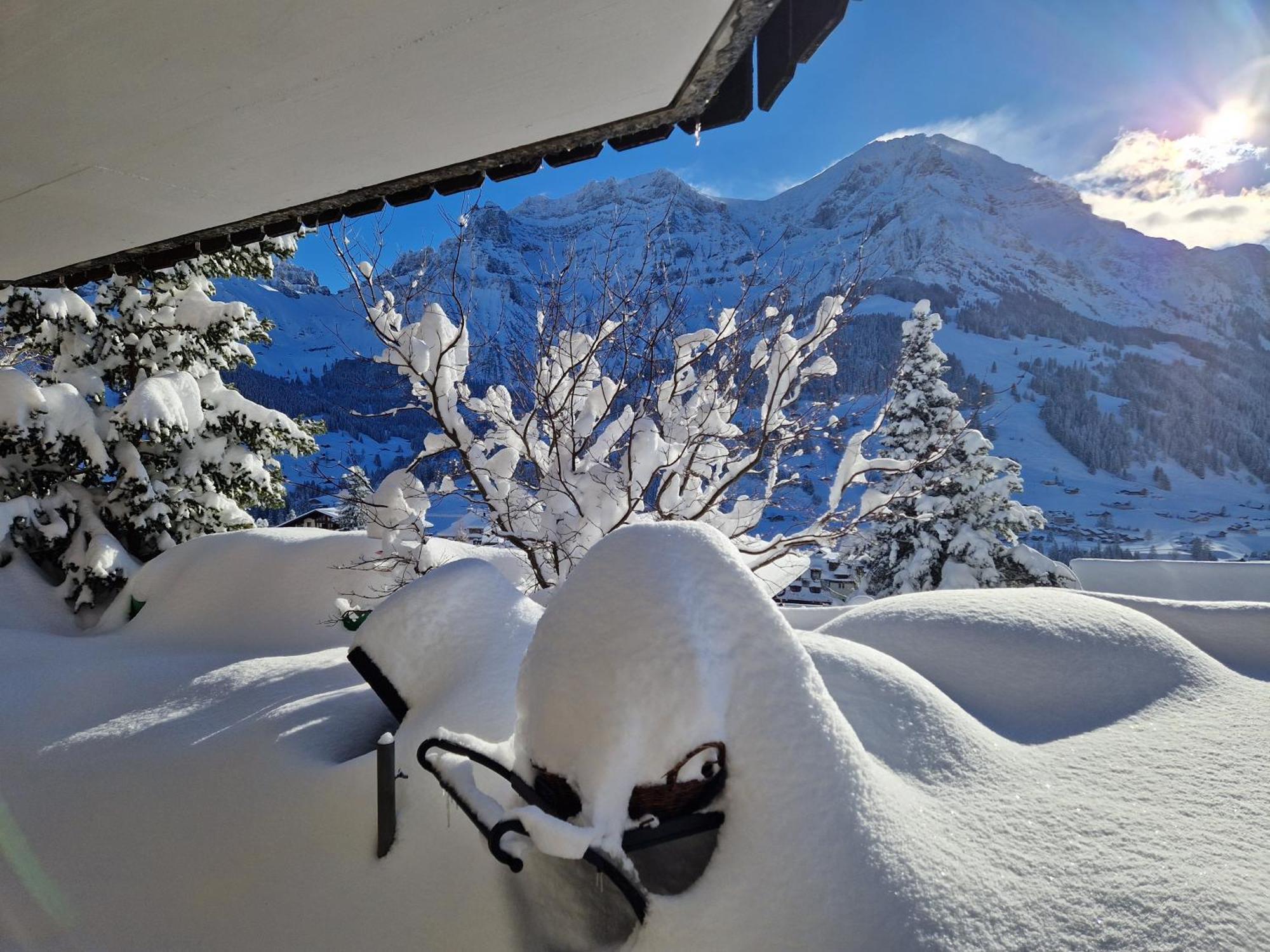 Chalet Gotthelf Gartenstudio, Ferien Mit Hund Αντελμπόντεν Εξωτερικό φωτογραφία