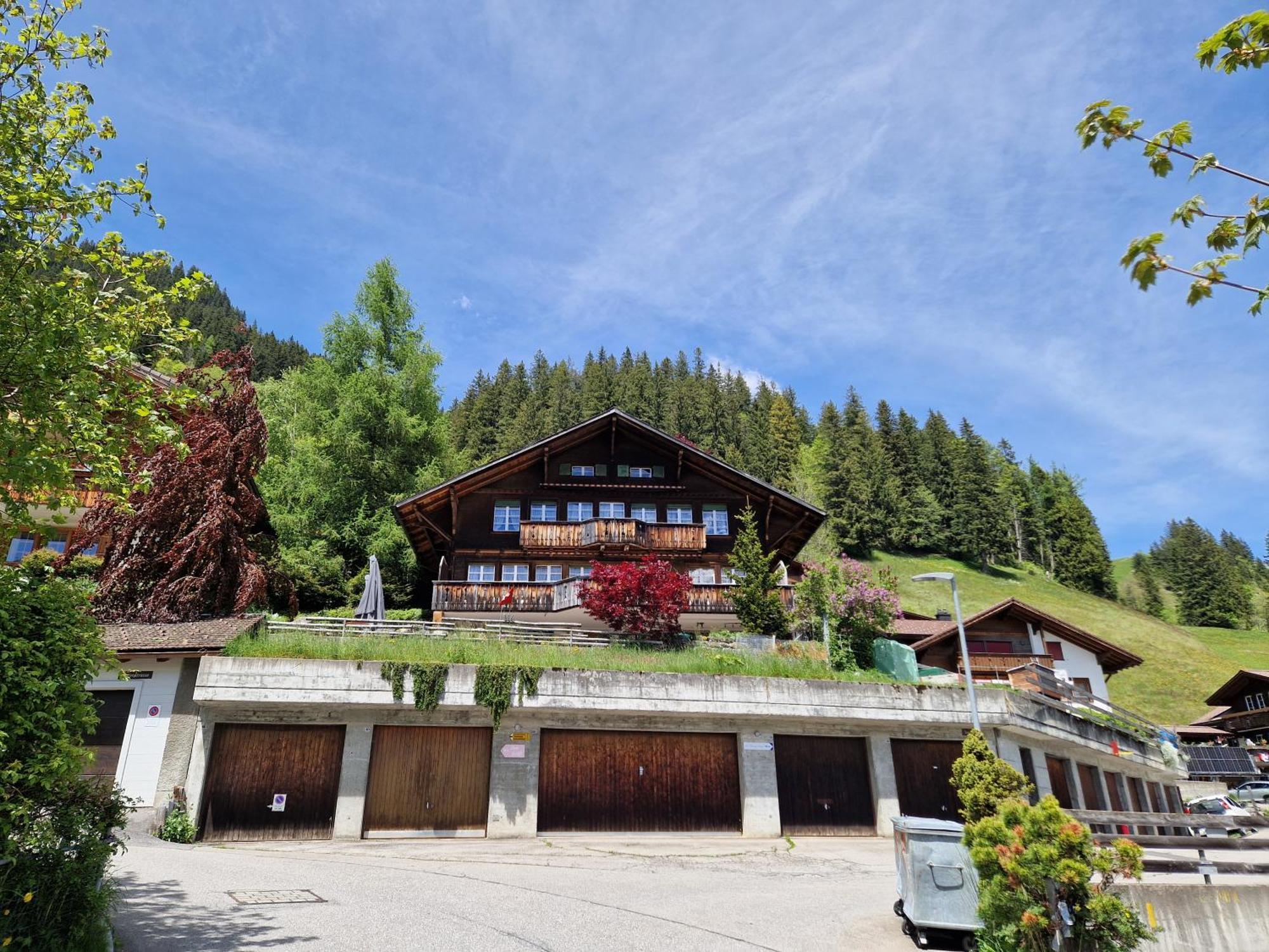 Chalet Gotthelf Gartenstudio, Ferien Mit Hund Αντελμπόντεν Εξωτερικό φωτογραφία